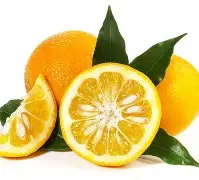 塞维利亚加时末段绝杀压哨,志在足总杯名次提升,赛场秩序良好,赛季目标并未改变的简单介绍 塞维利亚加时末段绝杀压哨,志在足总杯名次提升,赛场秩序良好,赛季目标并未改变的简单介绍