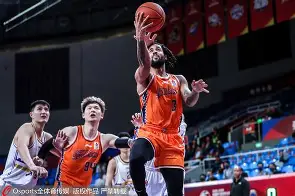 21式战术背心 21式战术背心